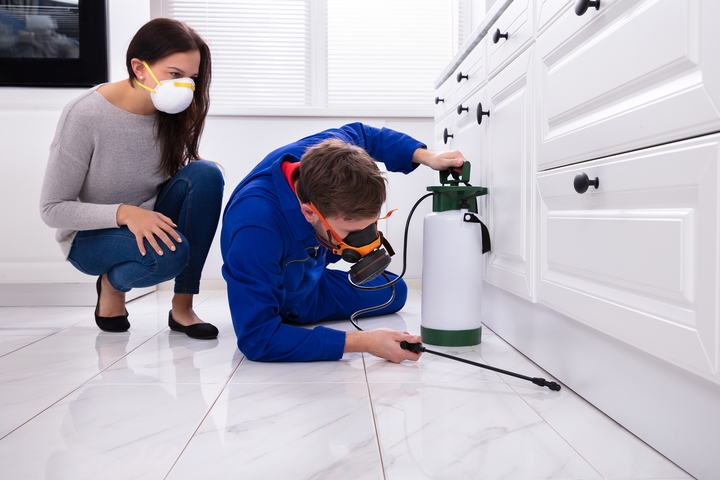 pest control companies in Charlotte NC 46-2-1